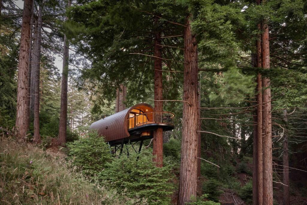 ~* The Spectacular Spyglass Treehouse *~ Occidental Dış mekan fotoğraf